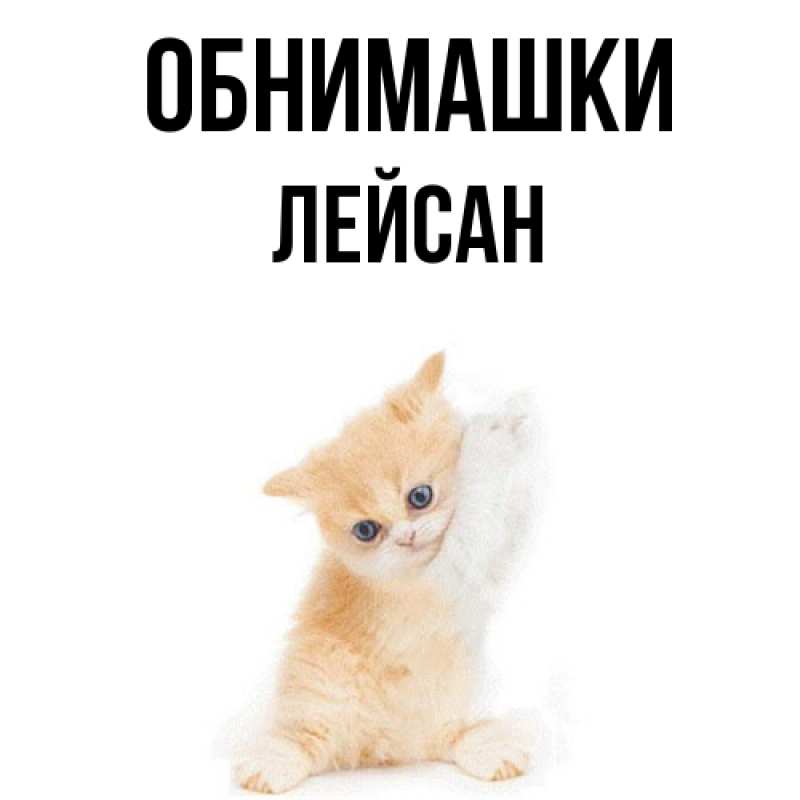 Открытка с именем, Лейсан, Обнимашки