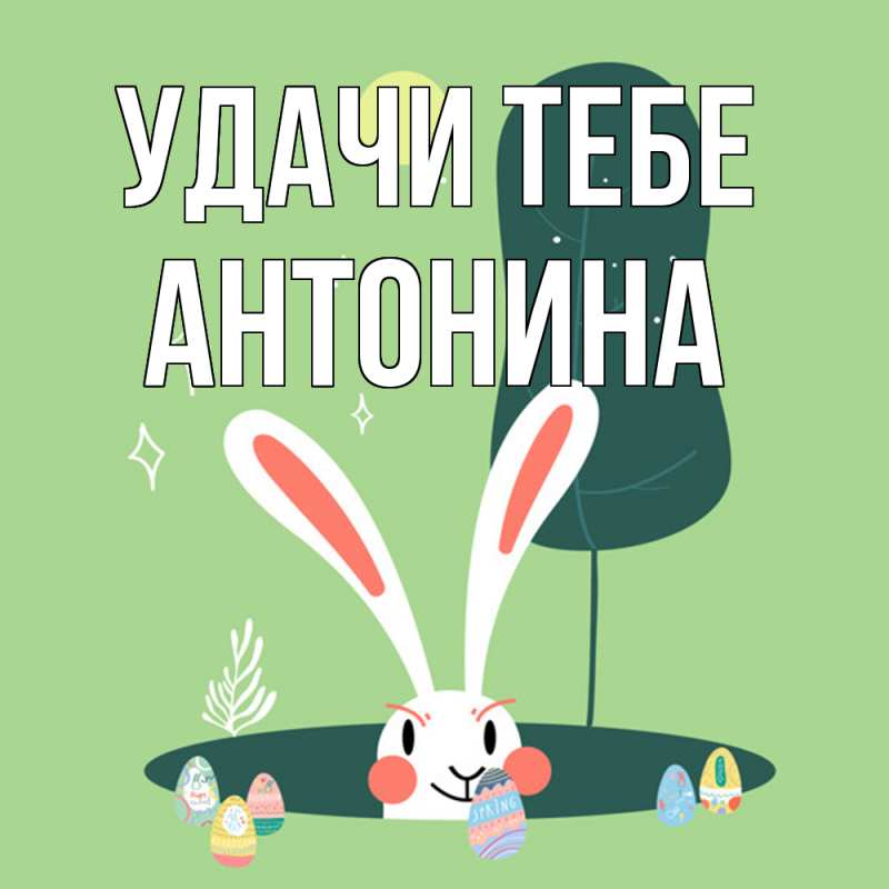 Картинка Удачи тебе, Антонина