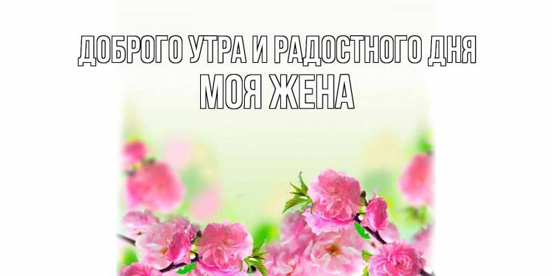 Картинка Доброго утра и радостного дня, Моя жена