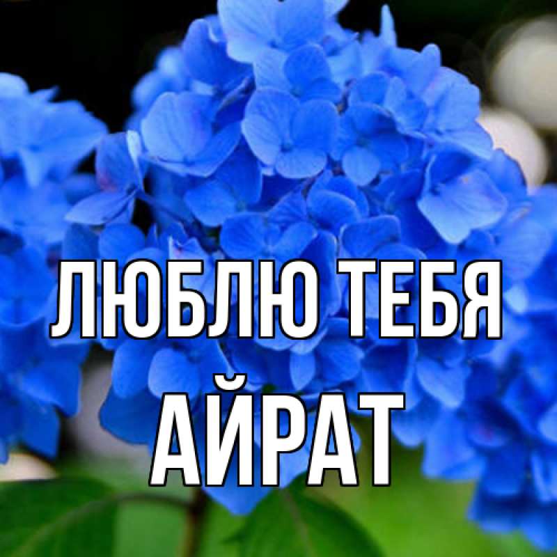 Открытка с именем, Айрат, Люблю тебя