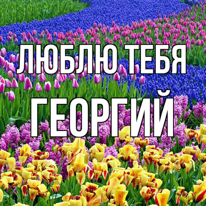 Картинка Люблю тебя, Георгий