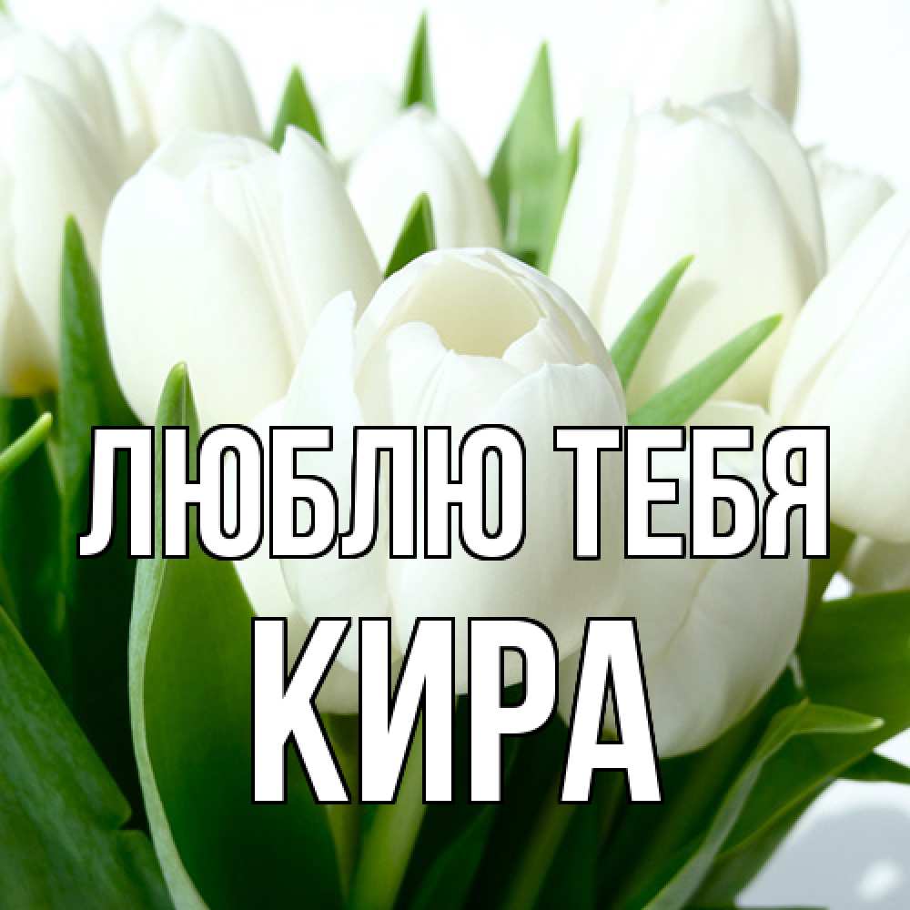 Открытка на каждый день с именем, Кира Люблю тебя цветы Прикольная открытка с пожеланием онлайн скачать бесплатно 