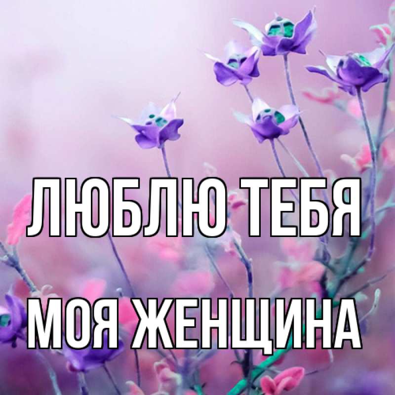 Картинка Люблю тебя, Моя женщина