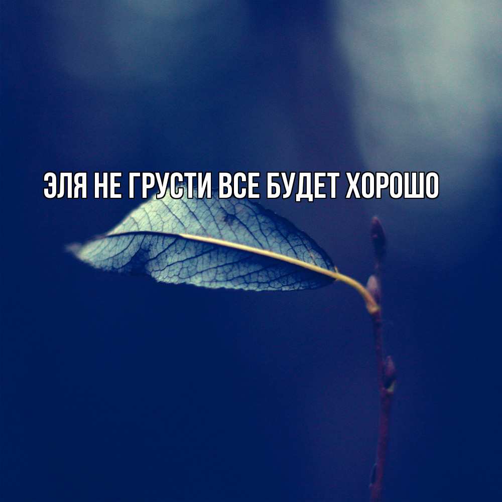 Открытка на каждый день с именем, Эля Не грусти все будет хорошо растение Прикольная открытка с пожеланием онлайн скачать бесплатно 