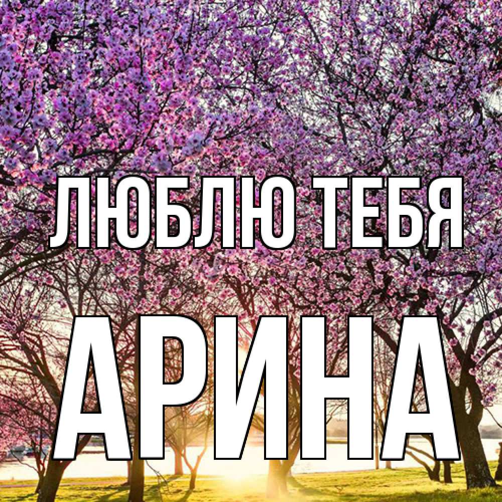 Открытка на каждый день с именем, Арина Люблю тебя международный женский день Прикольная открытка с пожеланием онлайн скачать бесплатно 