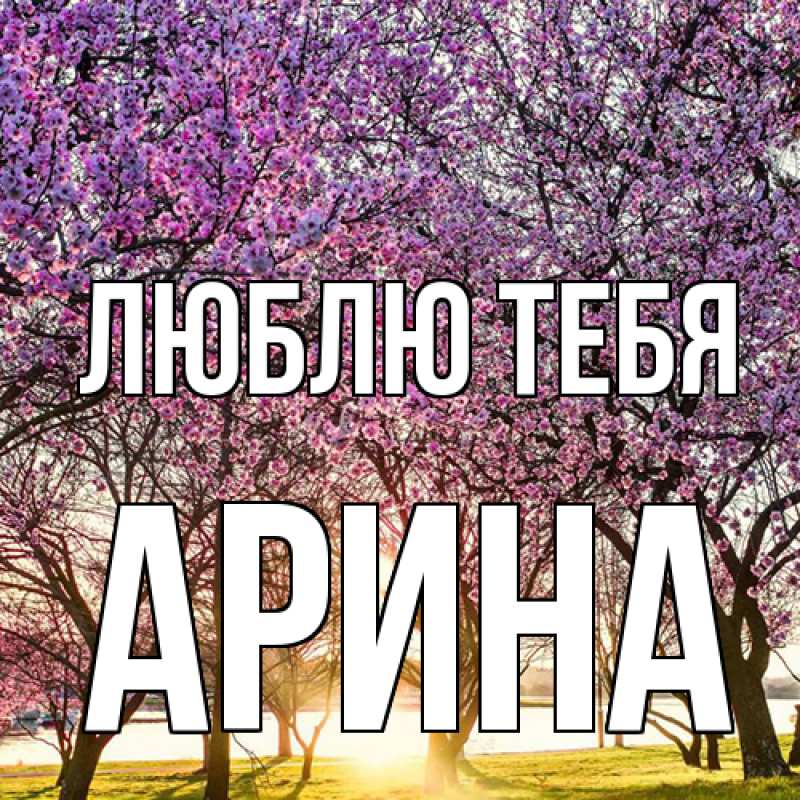 Картинка Люблю тебя, Арина