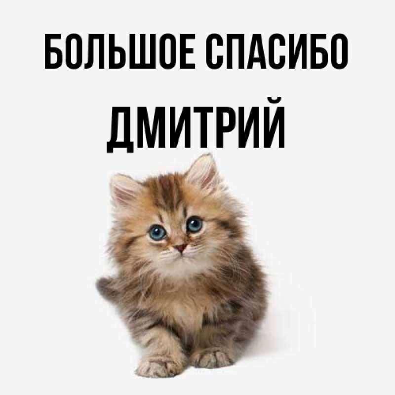 Картинка Большое спасибо, Дмитрий