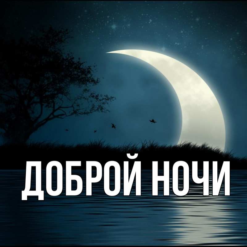 Открытка с подписью, открытка-бесплатно, Доброй ночи
