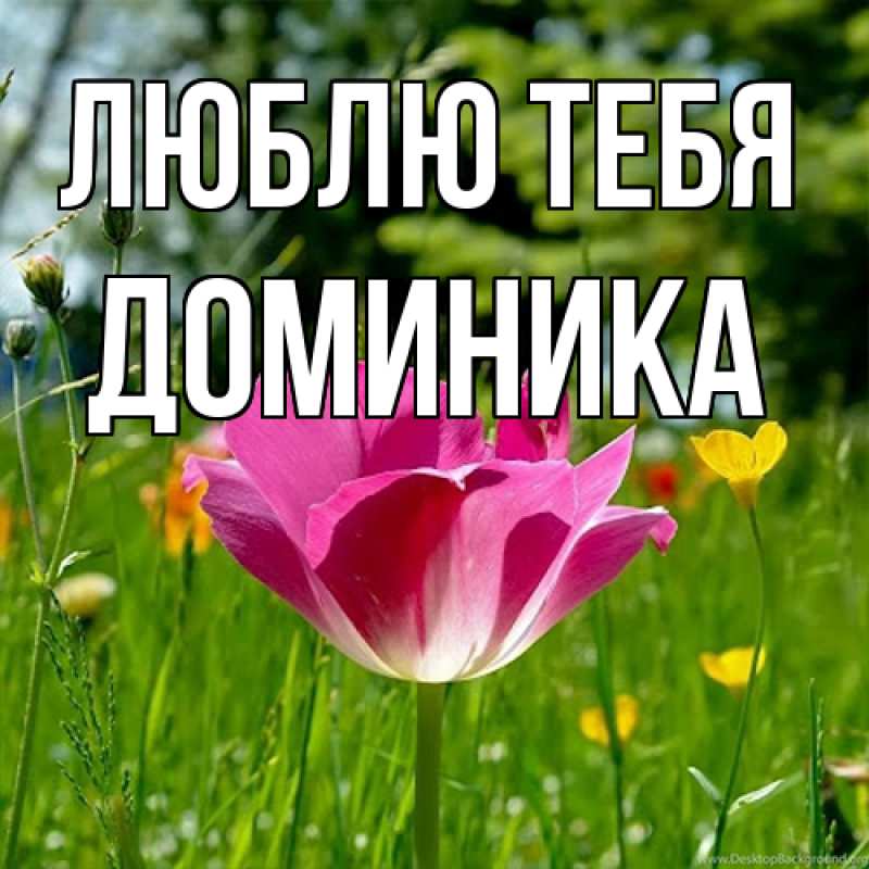 Картинка Люблю тебя, Доминика