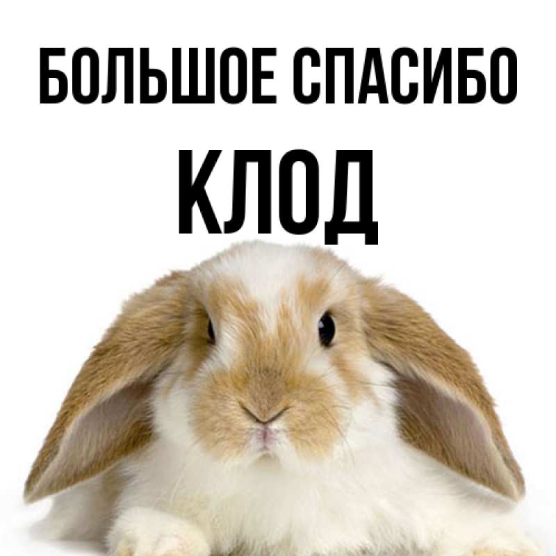 Открытка с именем, Клод, Большое спасибо