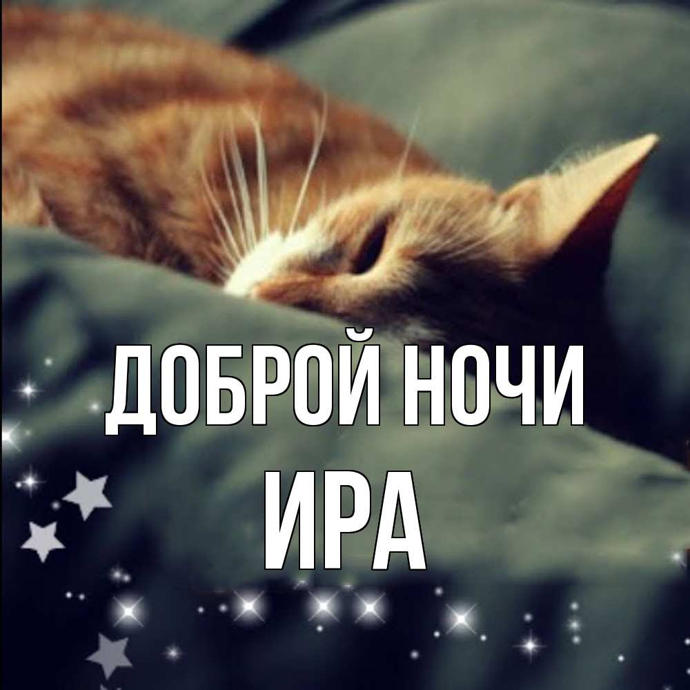 Открытка на каждый день с именем, Ира Доброй ночи кроватка Прикольная открытка с пожеланием онлайн скачать бесплатно 