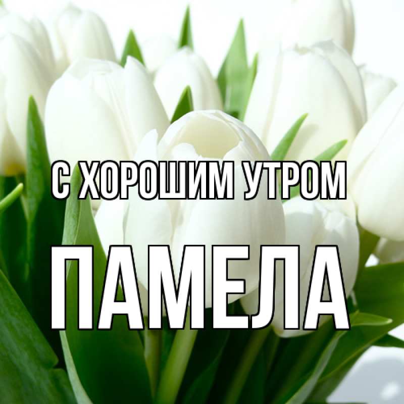 Картинка С хорошим утром, Памела