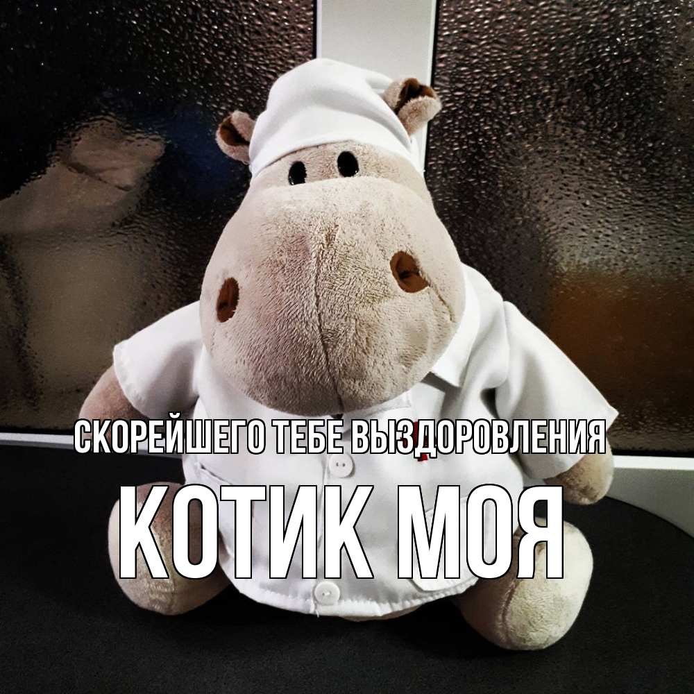 Открытка на каждый день с именем, Котик-моя Скорейшего тебе выздоровления всех излечит исцелит Прикольная открытка с пожеланием онлайн скачать бесплатно 