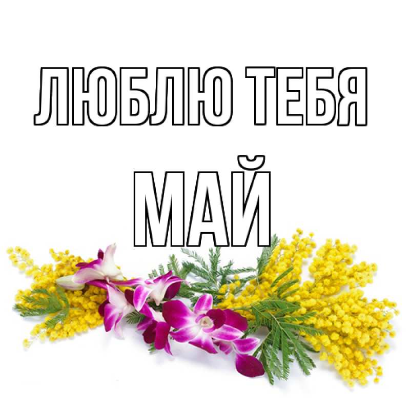 Картинка Люблю тебя, Май