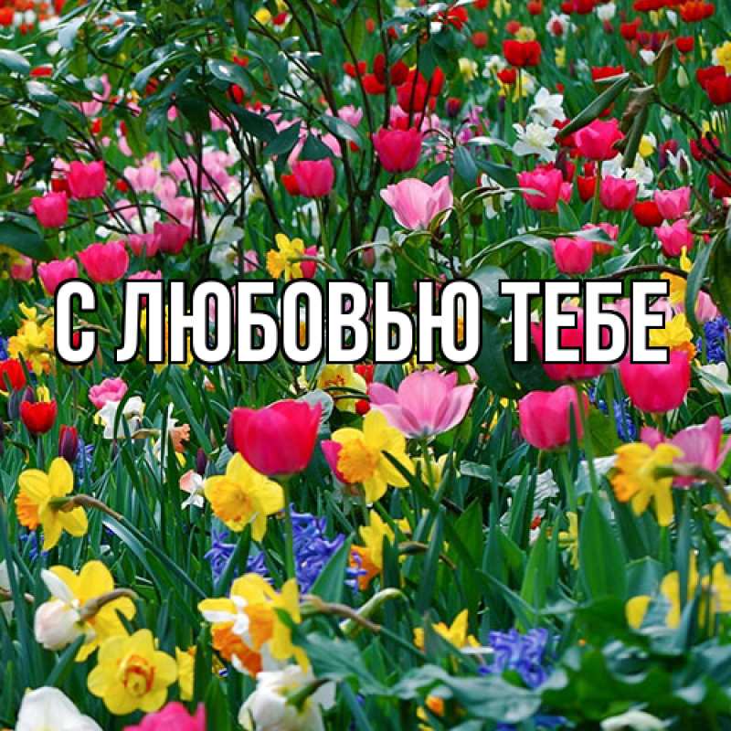 Открытка с именем, Юля, Люблю тебя