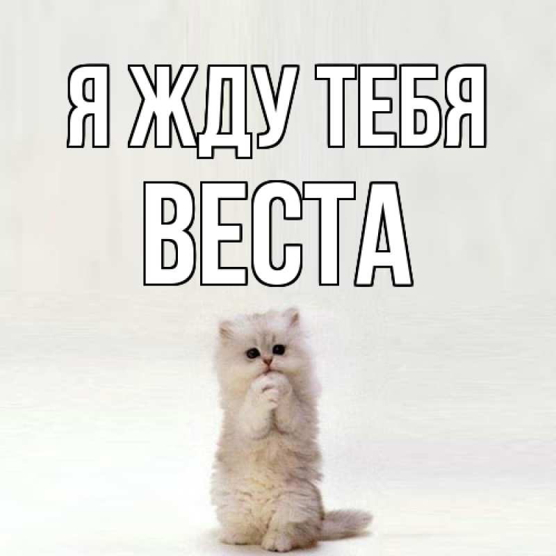 Картинка Я жду тебя, Веста
