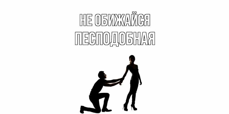 Картинка Не обижайся, Песподобная