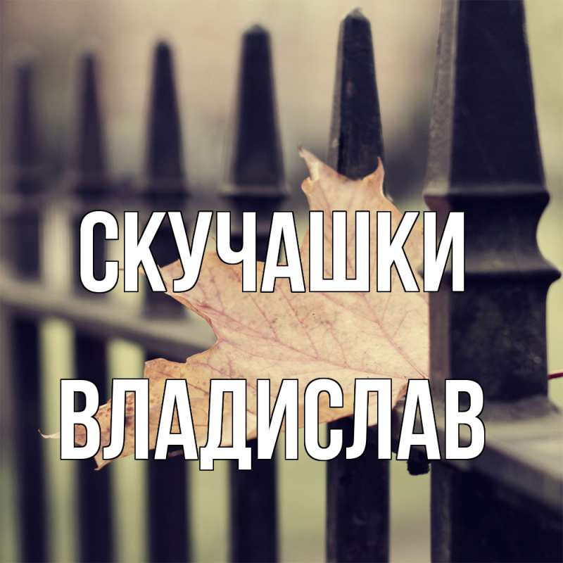 Картинка Скучашки, Владислав