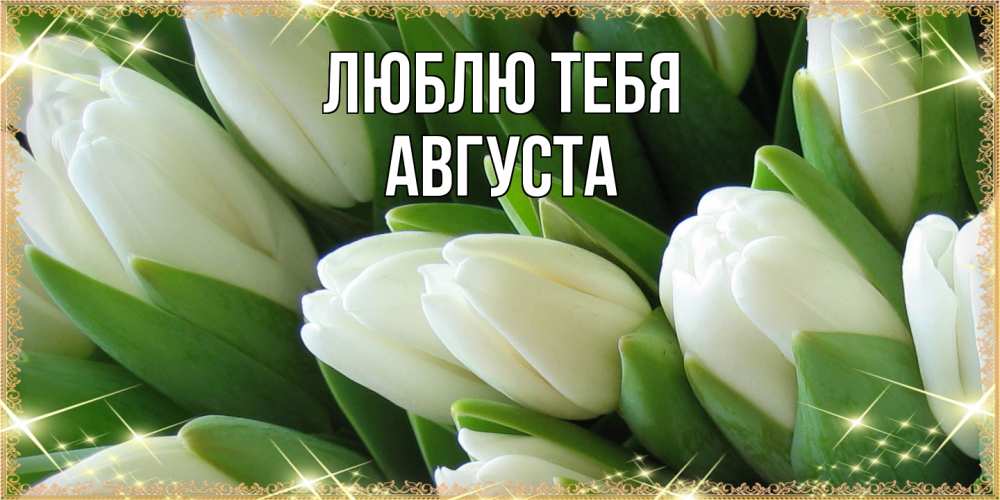 Открытка на каждый день с именем, Августа Люблю тебя поздравляем с 8 марта Прикольная открытка с пожеланием онлайн скачать бесплатно 