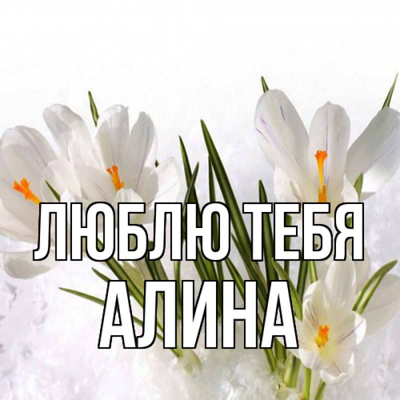 Картинка Люблю тебя, Алина