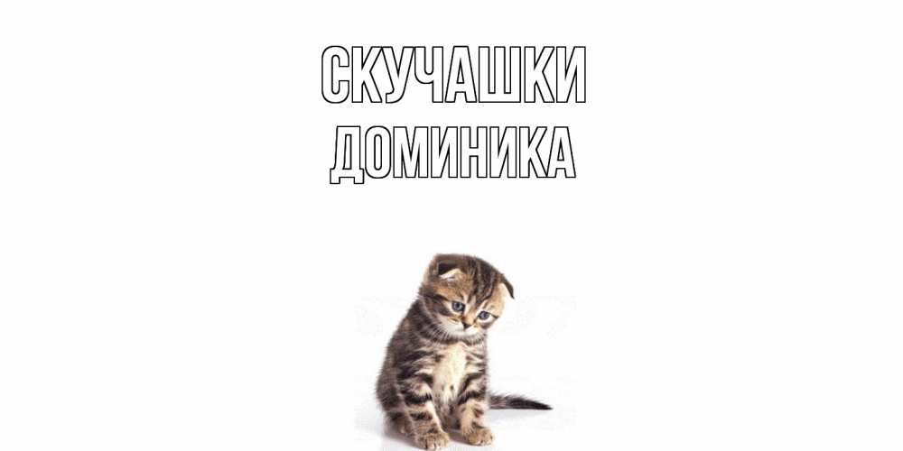 Открытка на каждый день с именем, Доминика Скучашки кот Прикольная открытка с пожеланием онлайн скачать бесплатно 