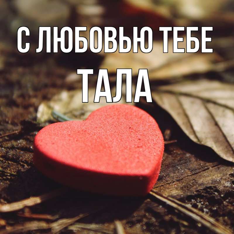 Картинка С любовью тебе, Тала