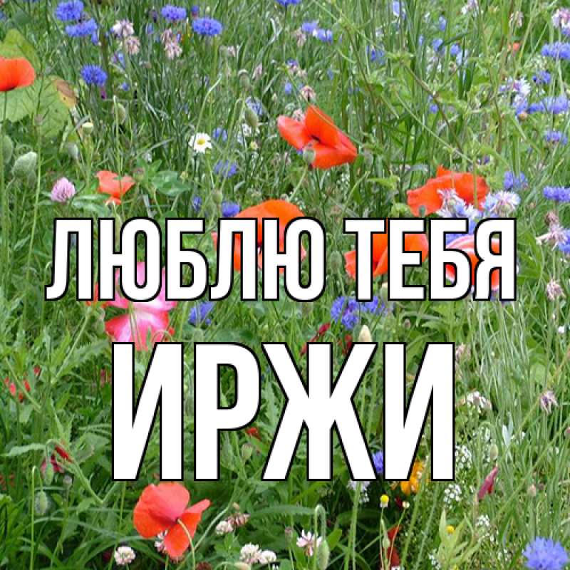 Открытка с именем, Иржи, Люблю тебя