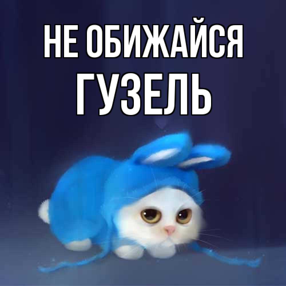 Открытка на каждый день с именем, Гузель Не обижайся невинный котозай просит прощения Прикольная открытка с пожеланием онлайн скачать бесплатно 