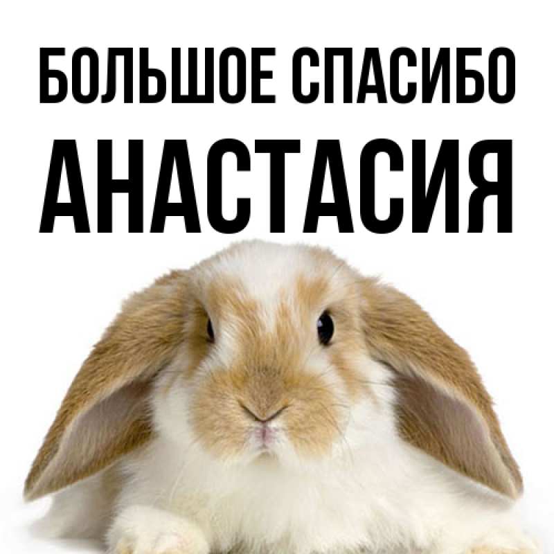 Картинка Большое спасибо, Анастасия