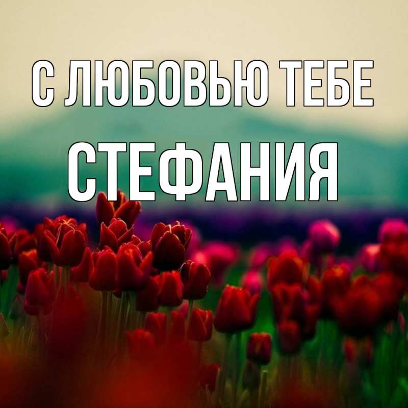 Картинка С любовью тебе, Стефания