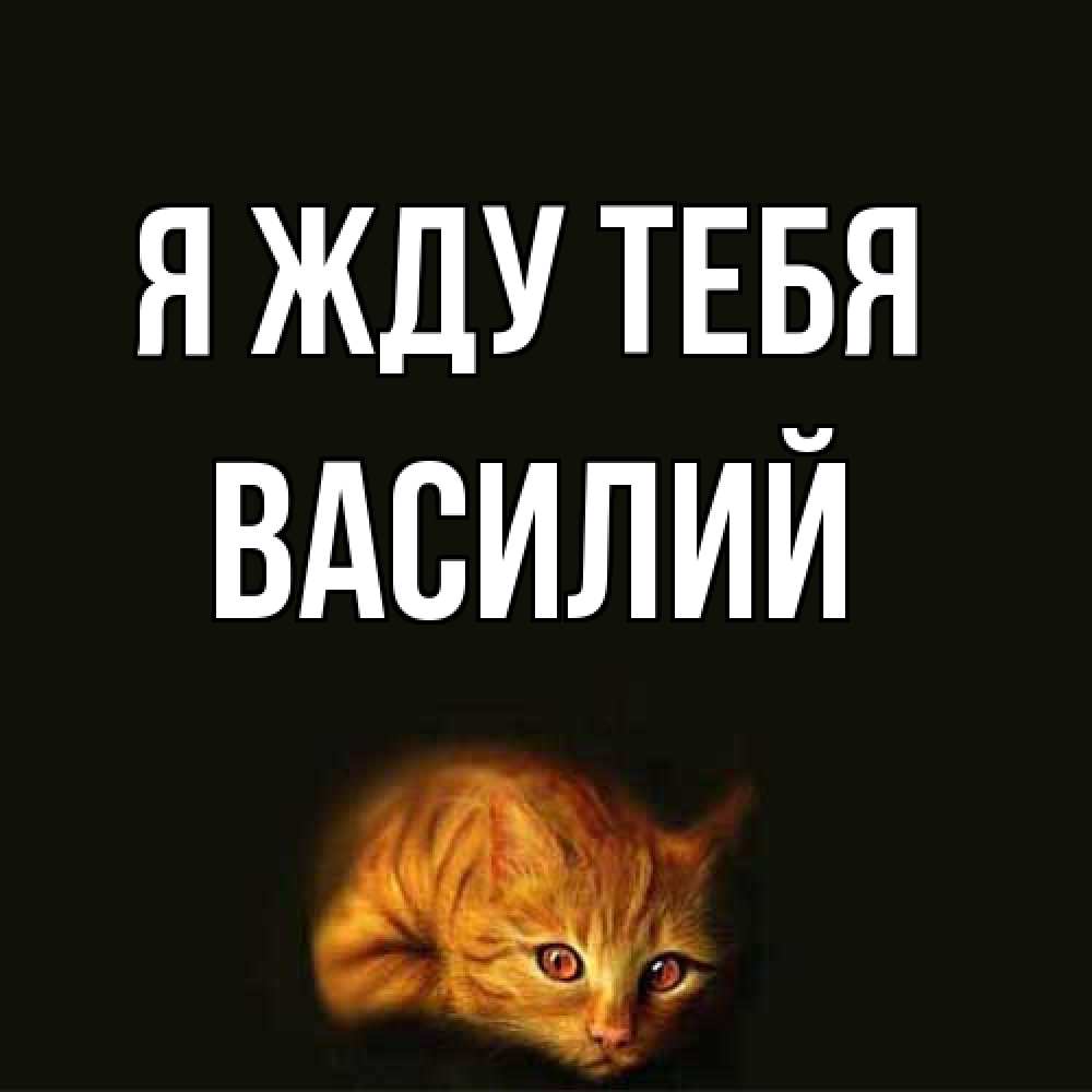Открытка на каждый день с именем, Василий Я жду тебя рыжий Прикольная открытка с пожеланием онлайн скачать бесплатно 