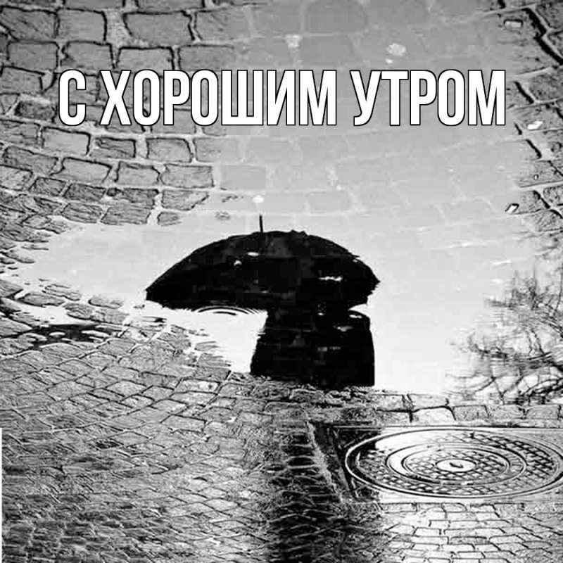 Открытка с именем, Ядвига, Скучашки