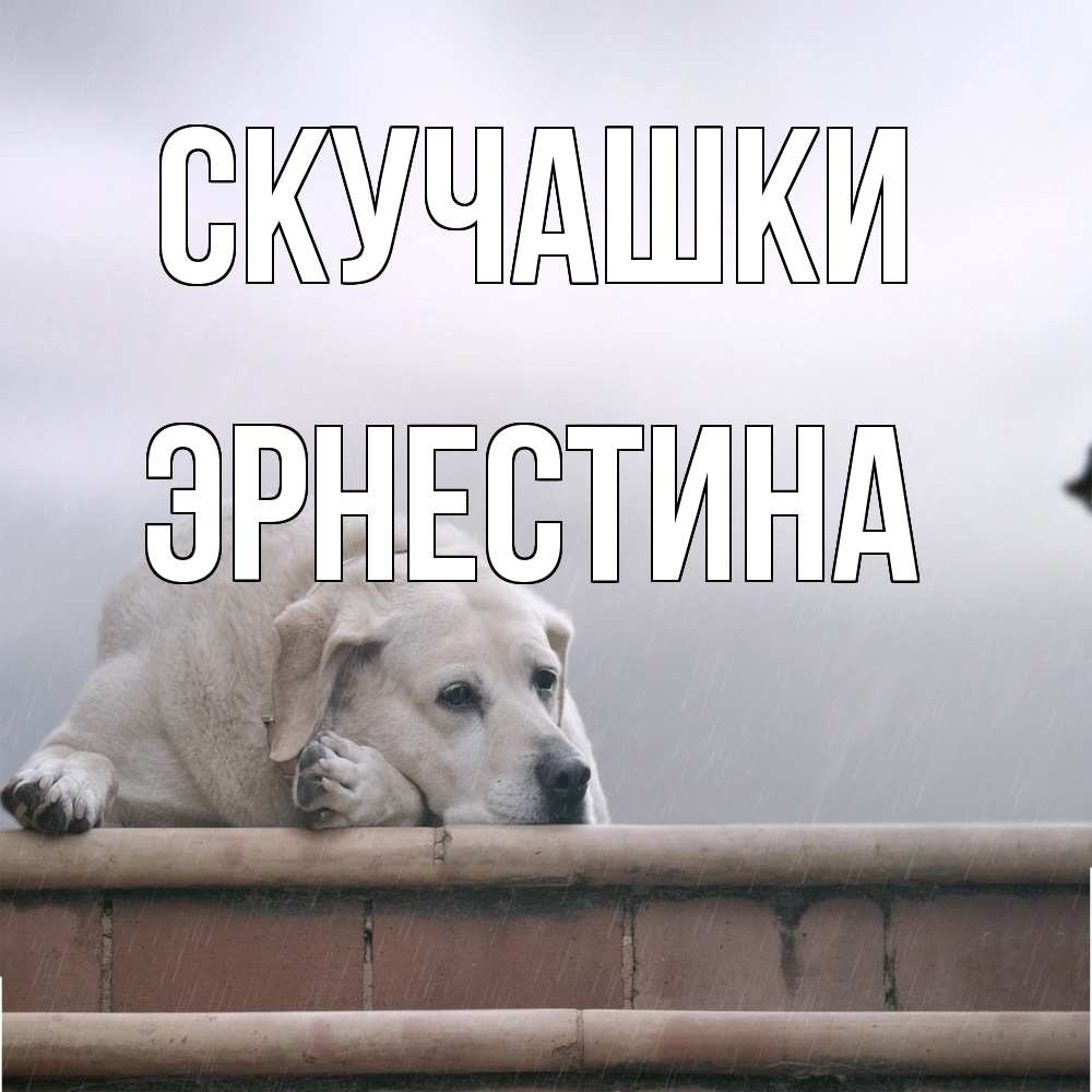 Открытка на каждый день с именем, Эрнестина Скучашки ждет Прикольная открытка с пожеланием онлайн скачать бесплатно 