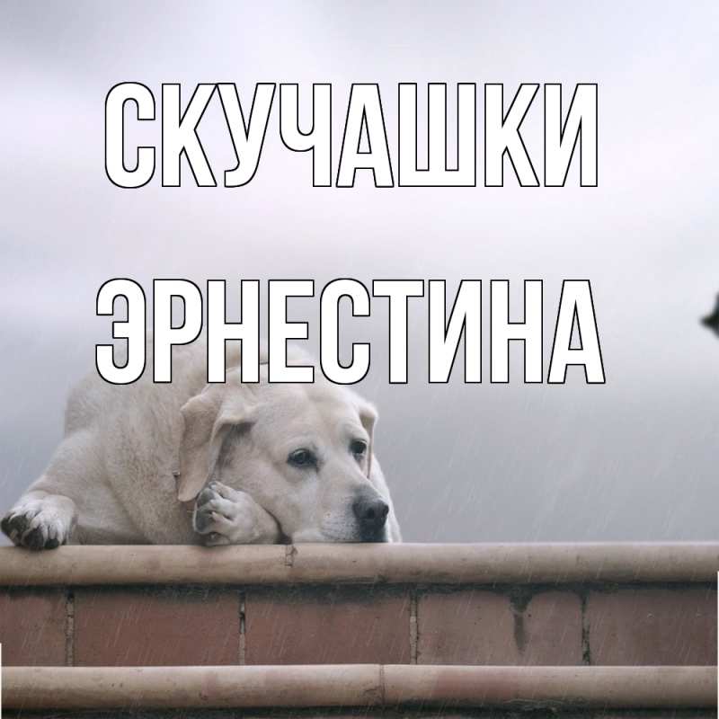 Картинка Скучашки, Эрнестина