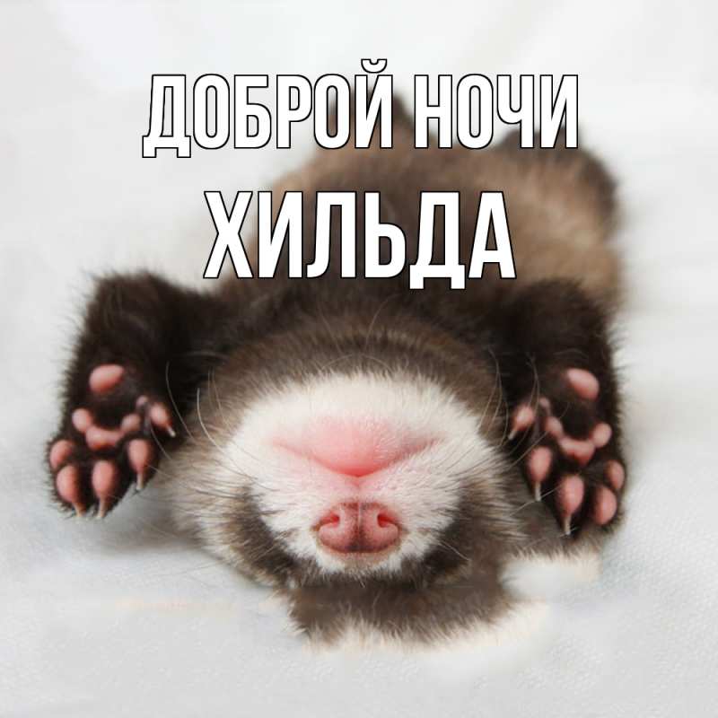 Картинка Доброй ночи, Хильда