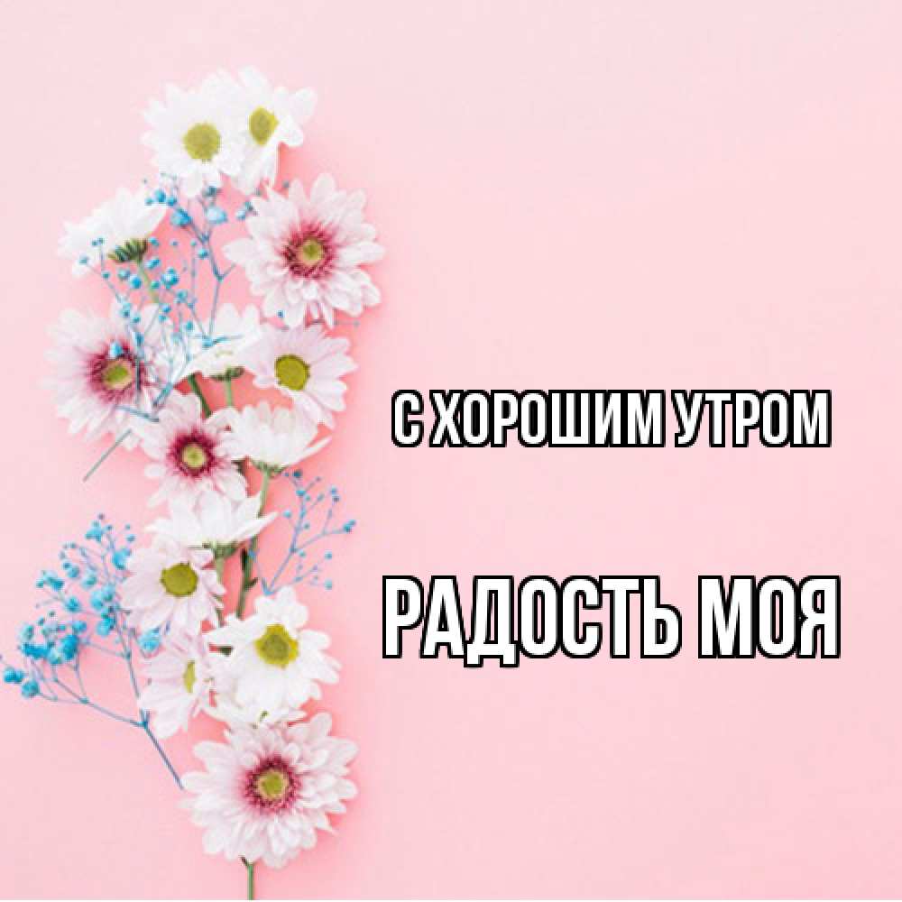 Открытка на каждый день с именем, Радость-моя С хорошим утром цветы с подписью Прикольная открытка с пожеланием онлайн скачать бесплатно 