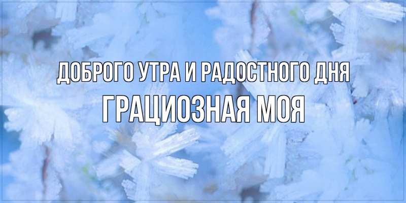Картинка Доброго утра и радостного дня, Грациозная моя