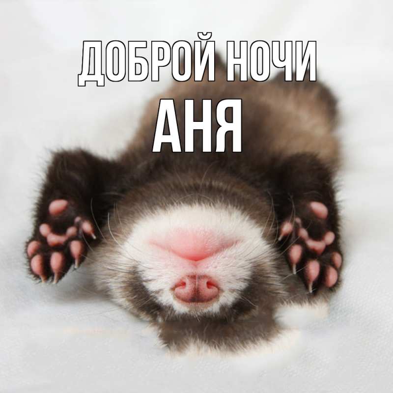 Картинка Доброй ночи, Аня
