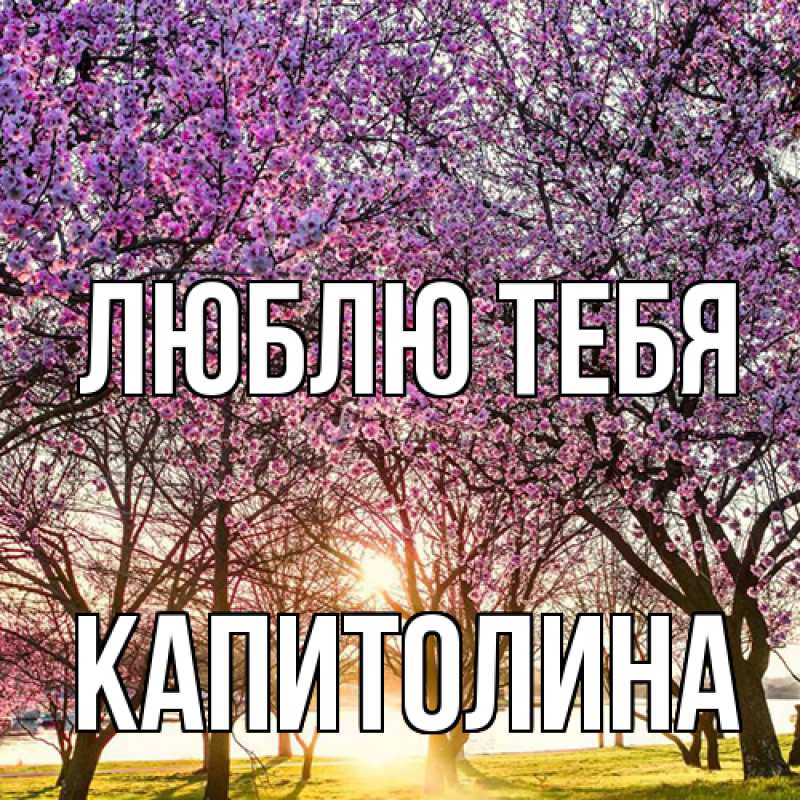 Открытка с именем, Капитолина, Люблю тебя