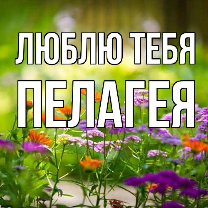 Картинка Люблю тебя, Пелагея