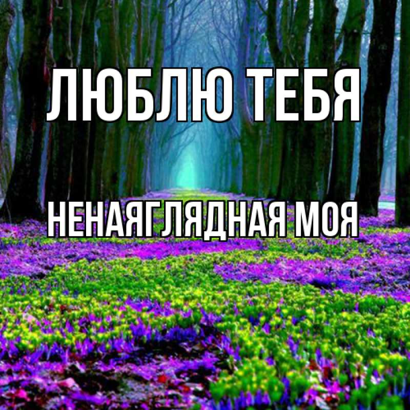 Картинка Люблю тебя, Ненаяглядная моя