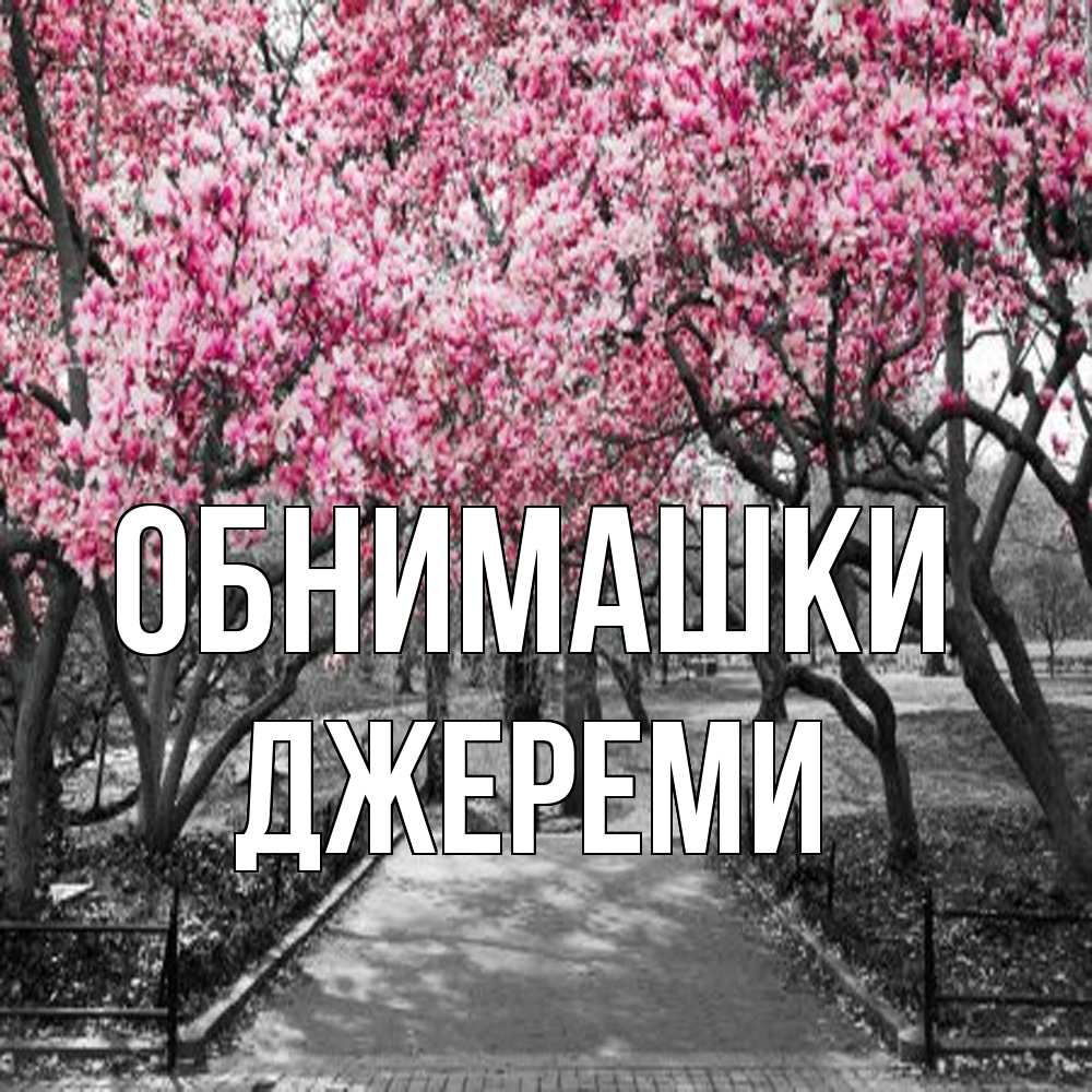 Открытка на каждый день с именем, Джереми Обнимашки обработанное фото Прикольная открытка с пожеланием онлайн скачать бесплатно 