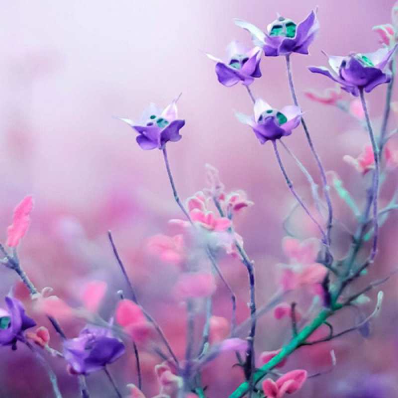 Картинка Люблю тебя, Коля