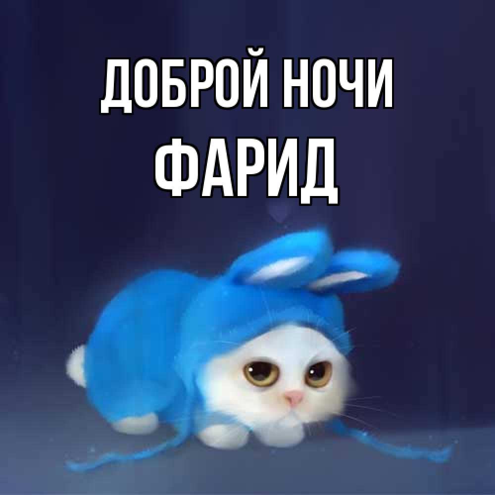 Открытка на каждый день с именем, Фарид Доброй ночи кот в голубом костюме кролика с ушками Прикольная открытка с пожеланием онлайн скачать бесплатно 