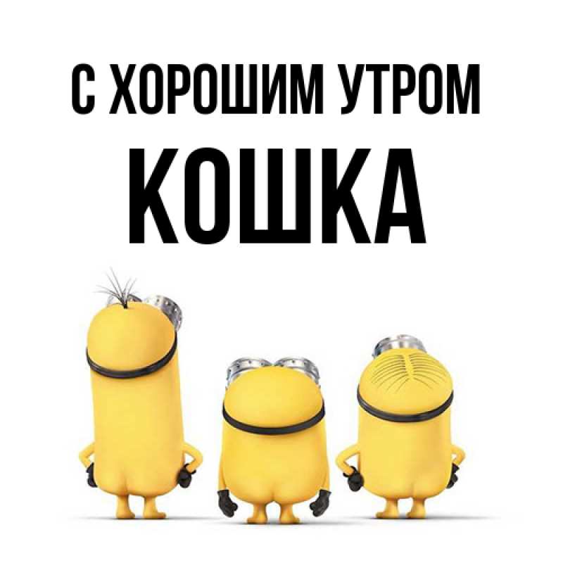 Картинка С хорошим утром, Кошка