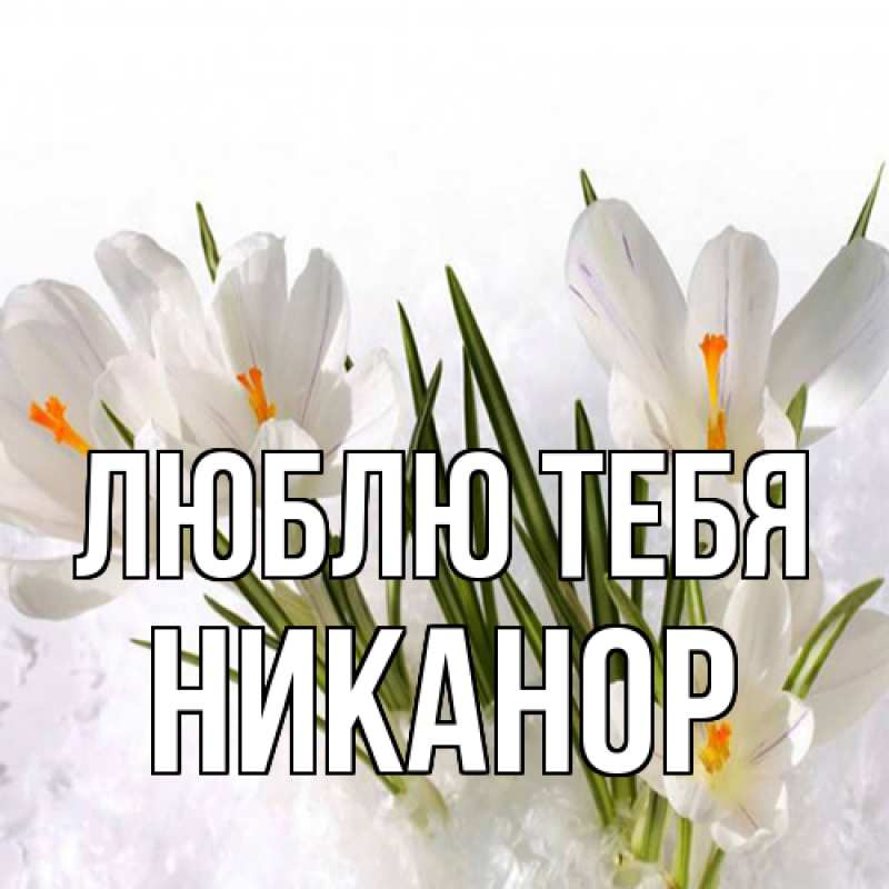 Картинка Люблю тебя, Никанор