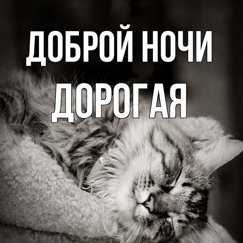 Картинка Доброй ночи, Дорогая