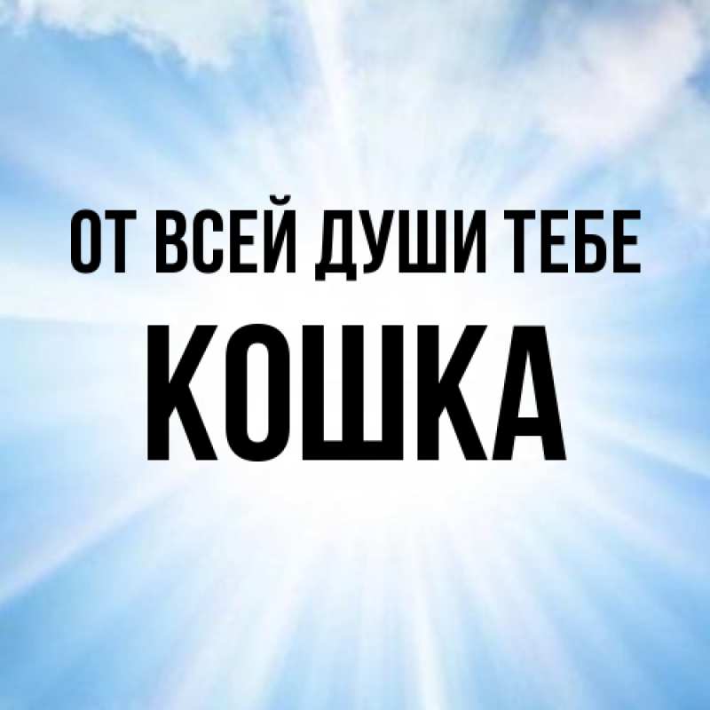 Картинка От всей души тебе, Кошка