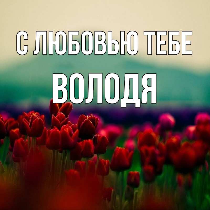 Картинка С любовью тебе, Володя