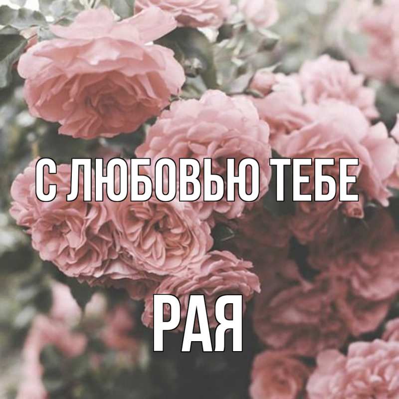 Картинка С любовью тебе, Рая